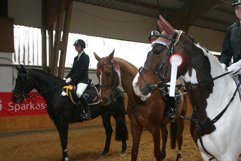 7 2 Stilspringprfg Kl. A mit Standardanforderungen 4