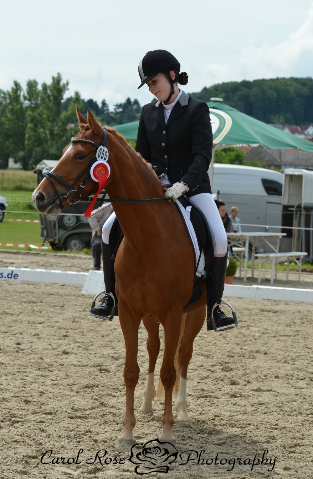 Dressurturnier 55