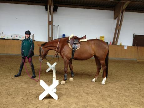 Training von Allroundhindernissen 01