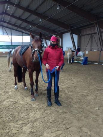 Training von Allroundhindernissen 02