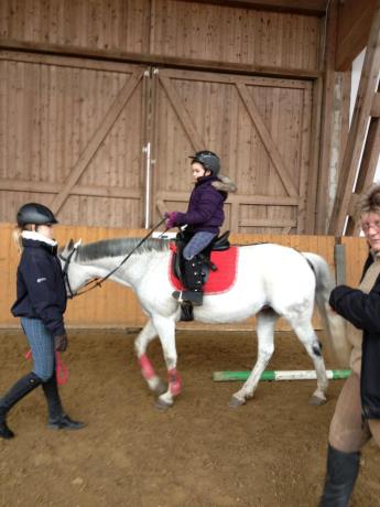 Training von Allroundhindernissen 03