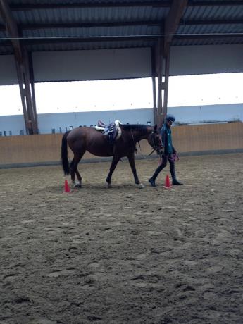 Training von Allroundhindernissen 07