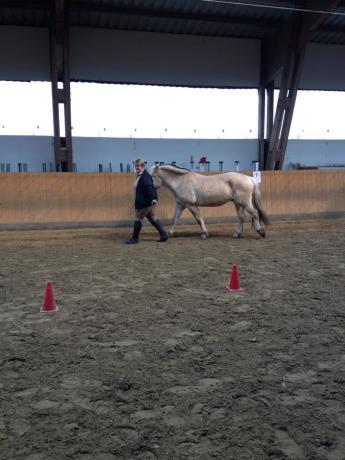 Training von Allroundhindernissen 10