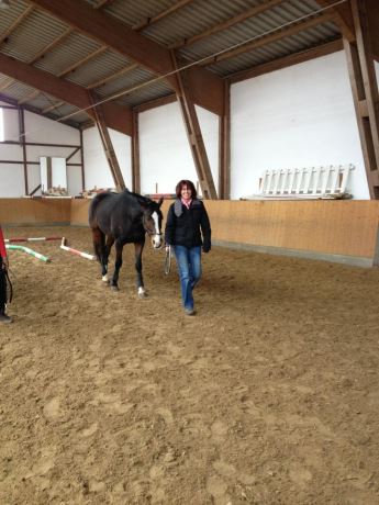 Training von Allroundhindernissen 11