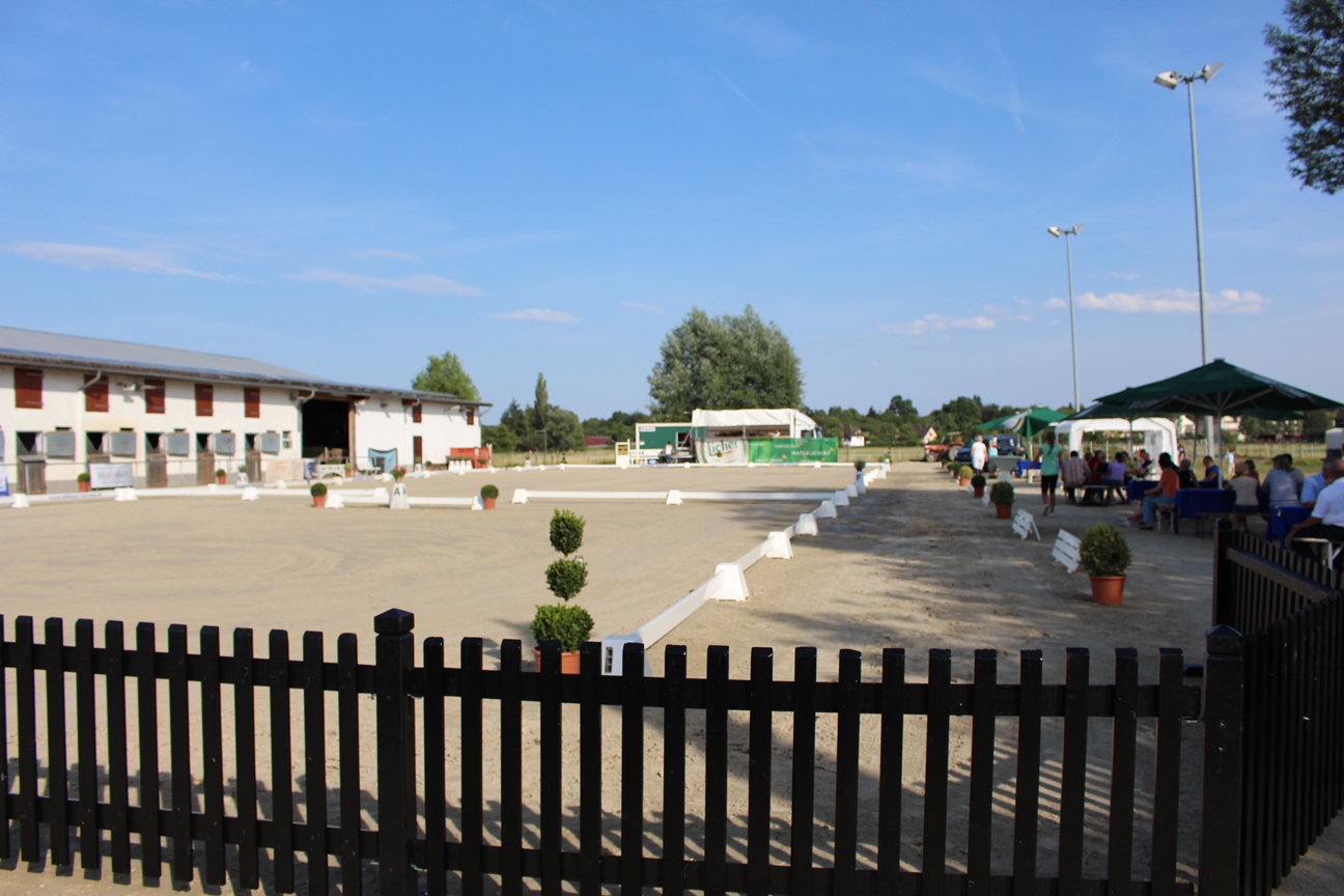 Dressurturnier 2015 024