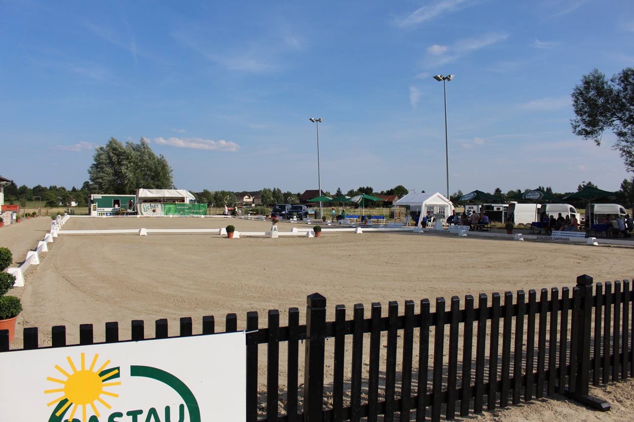 Dressurturnier 2015 025