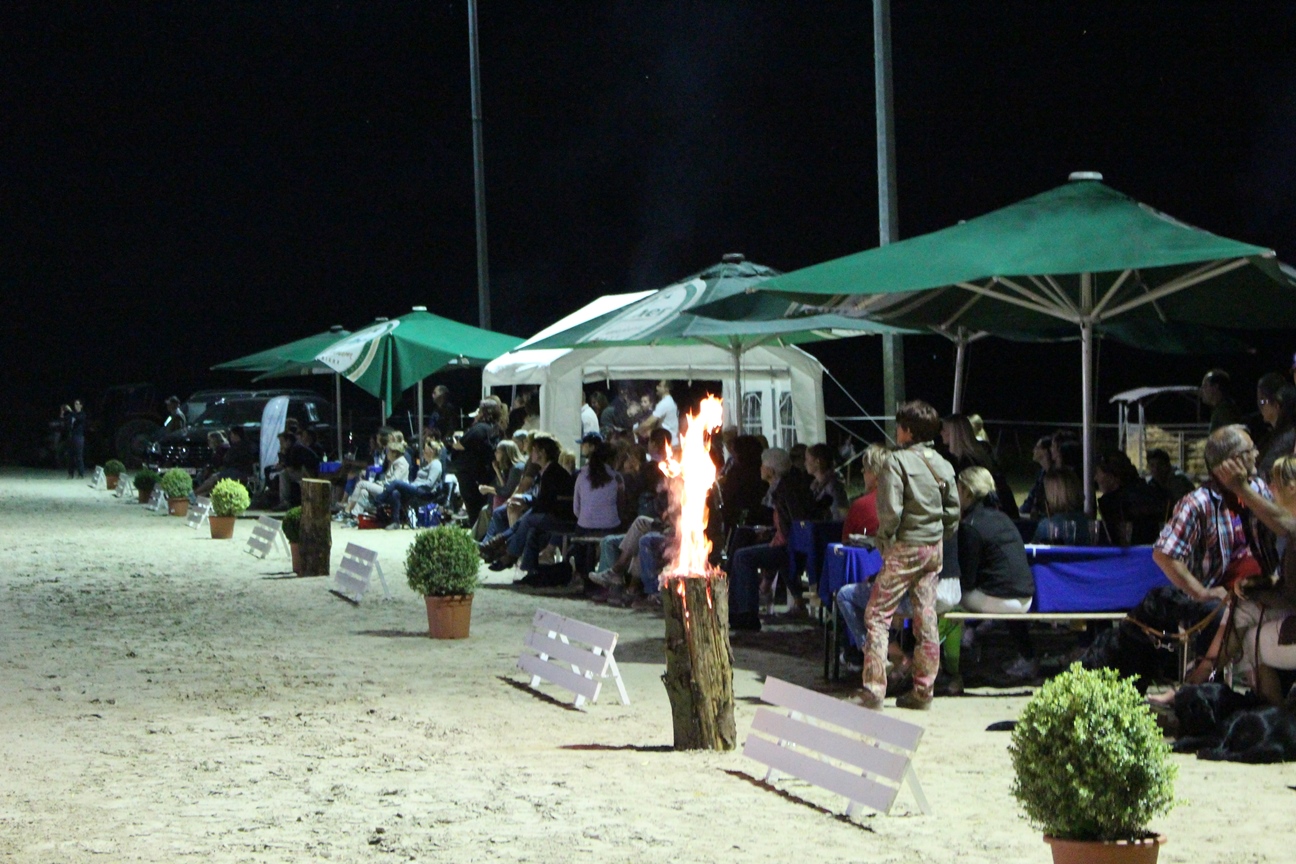 Dressurturnier 2015 044