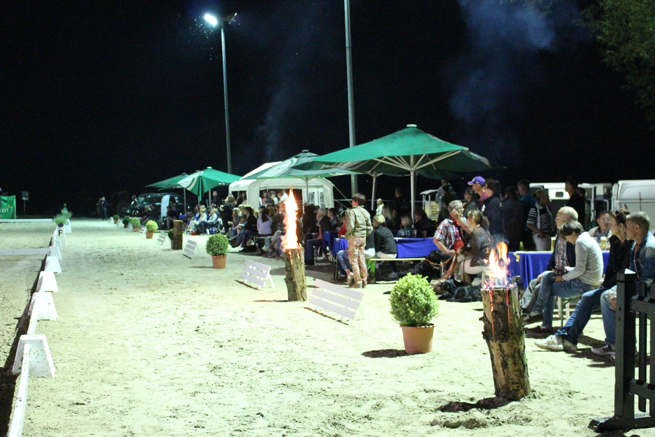 Dressurturnier 2015 045