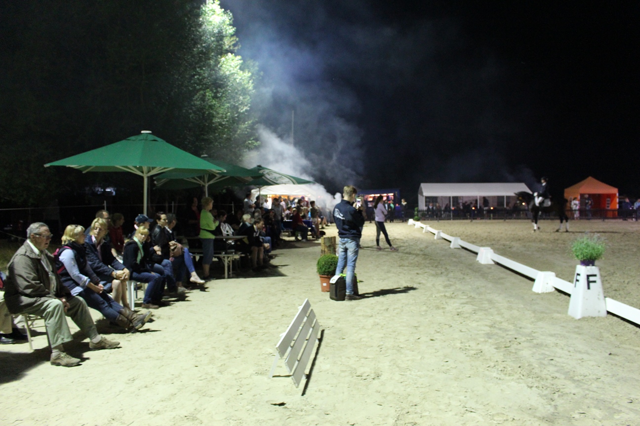 Dressurturnier 2015 068