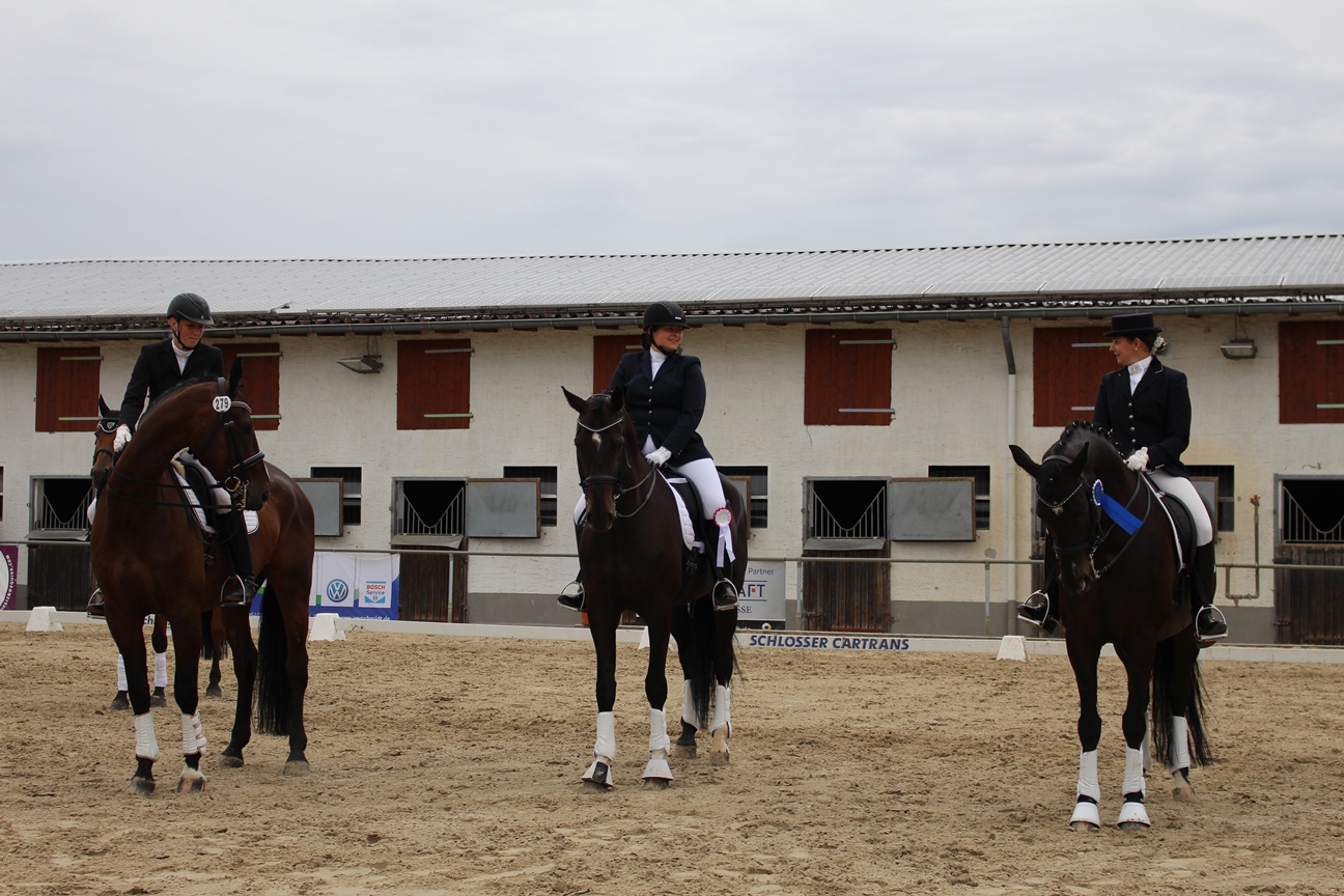 Dressurturnier 2015 101