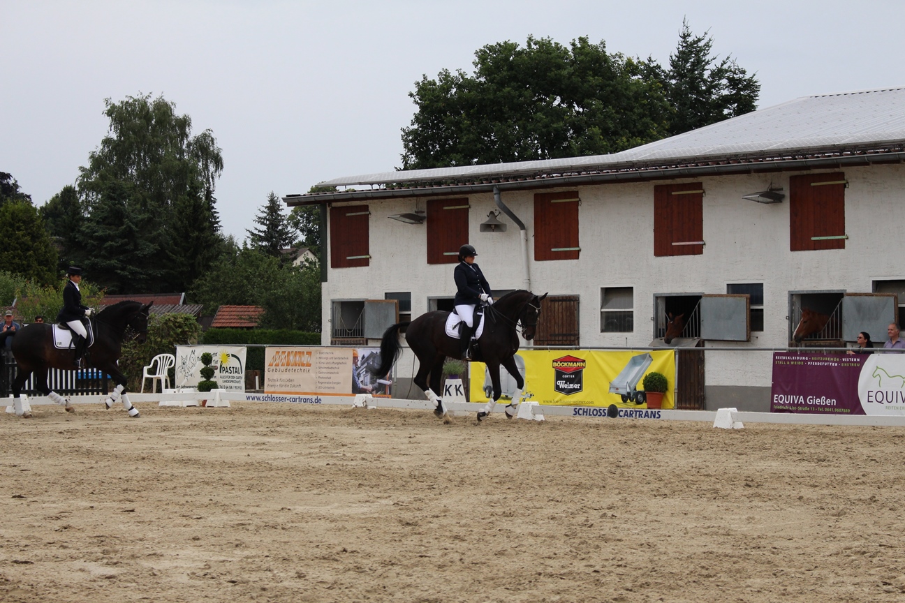 Dressurturnier 2015 104