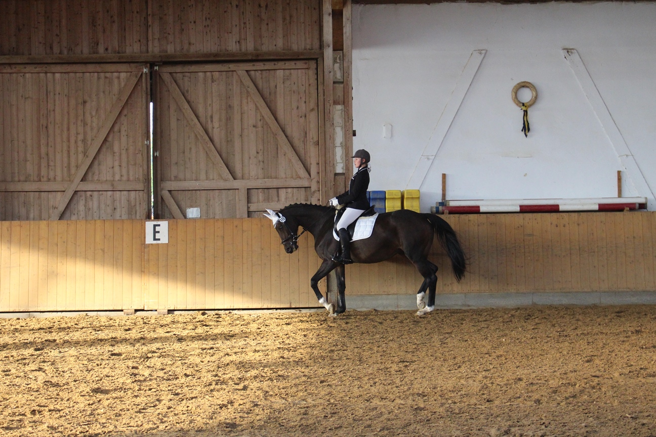 Jugendturnier 2015 017